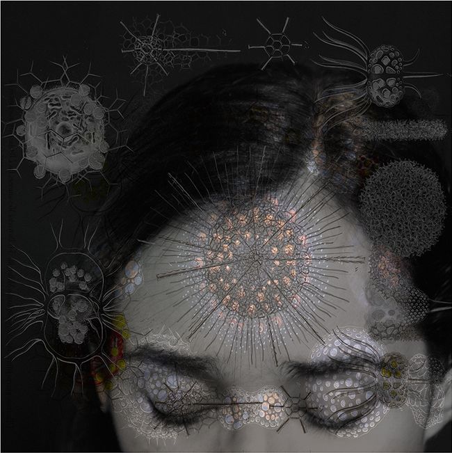 © Tatiana Parcero - © Tatiana Parcero, Universus #1, 2013