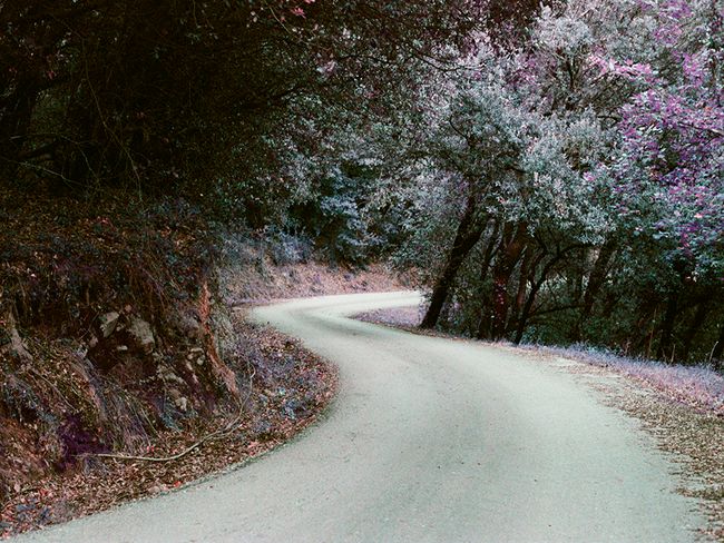 © Sara Ruiz Alcaraz - Image from the Siempreviva photography project