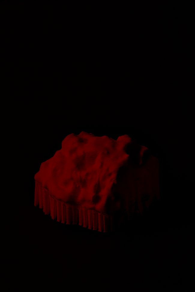 © Priscilla Pallante - Evidence Z, 3D print from scan.