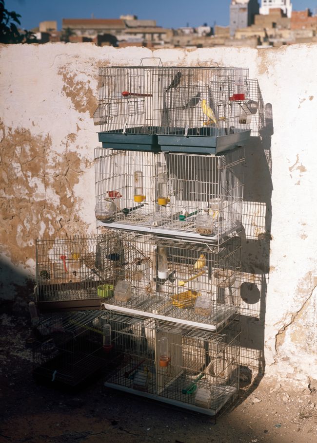 © Gabriela de Giacomo - Image from the Taghrida, the birds singing photography project