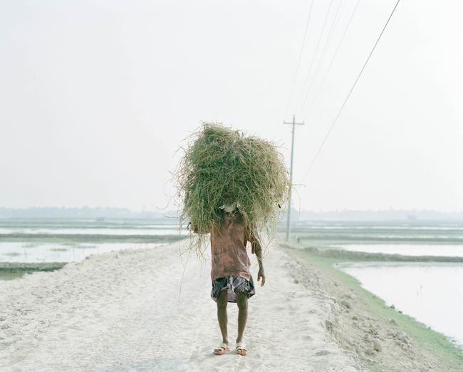 © Shunta Kimura - An elderly man who brings a lot of straw on his head.