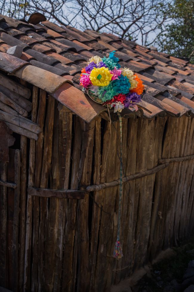 © Koral Carballo - Image from the Mystery of the Disguised. photography project