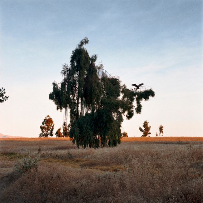 © gabriela concha - Image from the Cuajone photography project