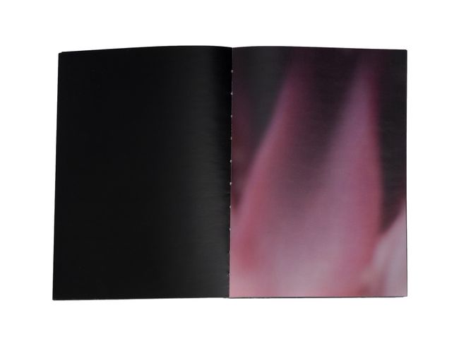 Photobook My Nonhuman Friends