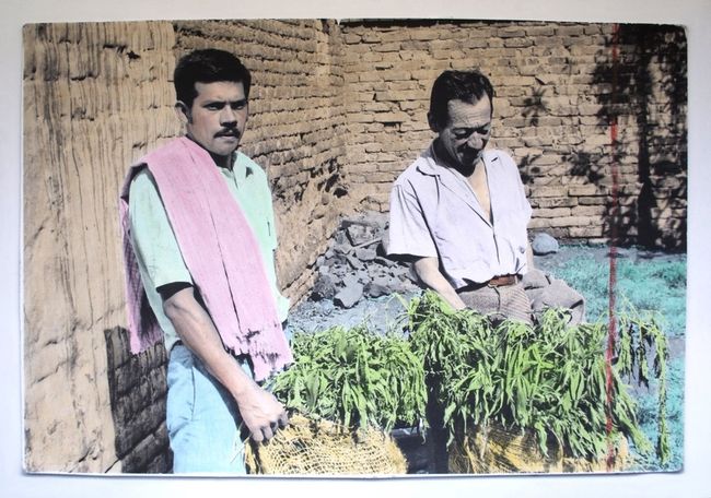 © Andrés Orjuela, from the series Archivo Muerto