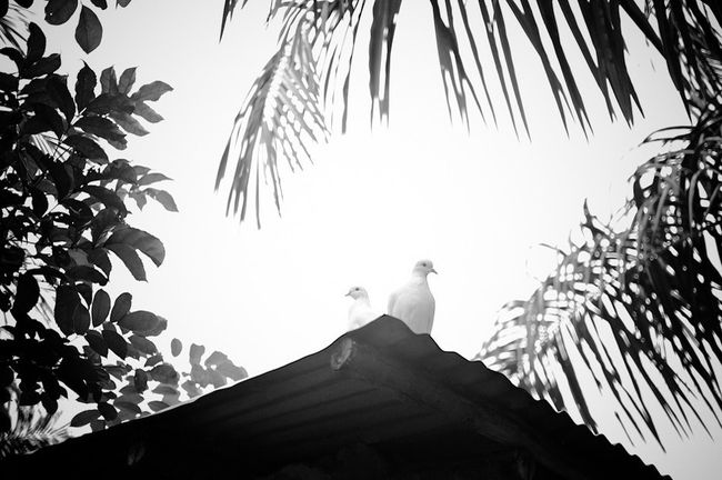 © Frederic Vanwalleghem - Image from the 'Vodun, trying to grasp the ungraspable' photography project