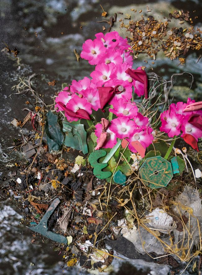 © Florence Iff - Image from the Amalgamated Fragmentations/Plastiverse photography project