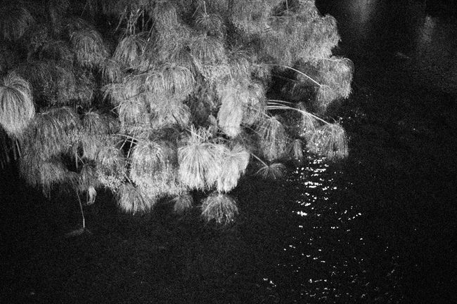 © Marie Hervé & Elsa Martinez - Image from the Sand of noises photography project