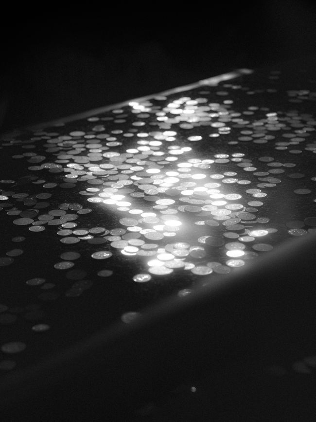 © Aria Shahrokhshahi - Image from the Wet Ground photography project