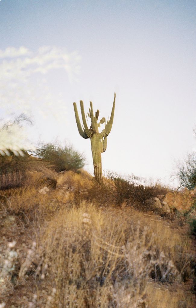 © postokhsas - Image from the Instinct photography project