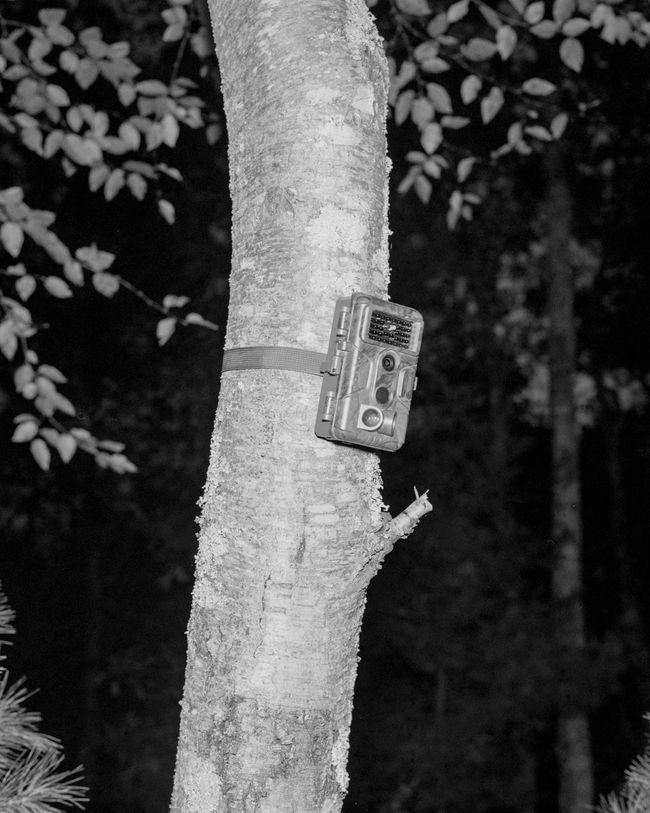 © Kai Wasikowski - Trail Cam, 2021 inkjet print 115 x 92 cm