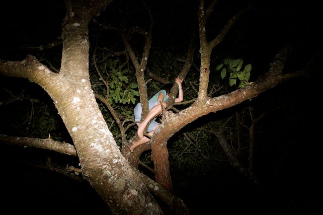 © Ella Baum - In the Cherry Tree (Assartorp, Sweden), 2024