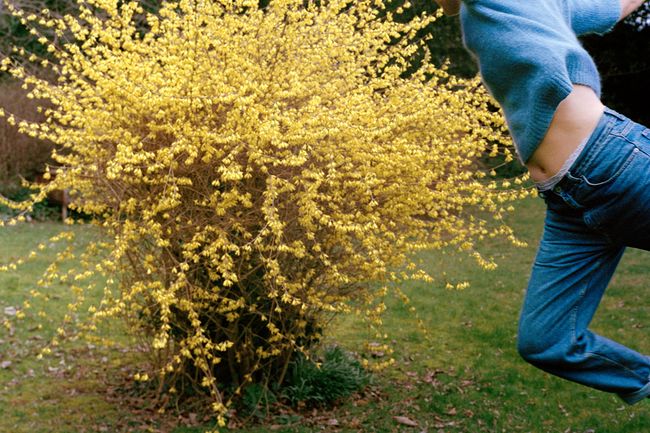 © Gabby Laurent - Image from the Falling photography project