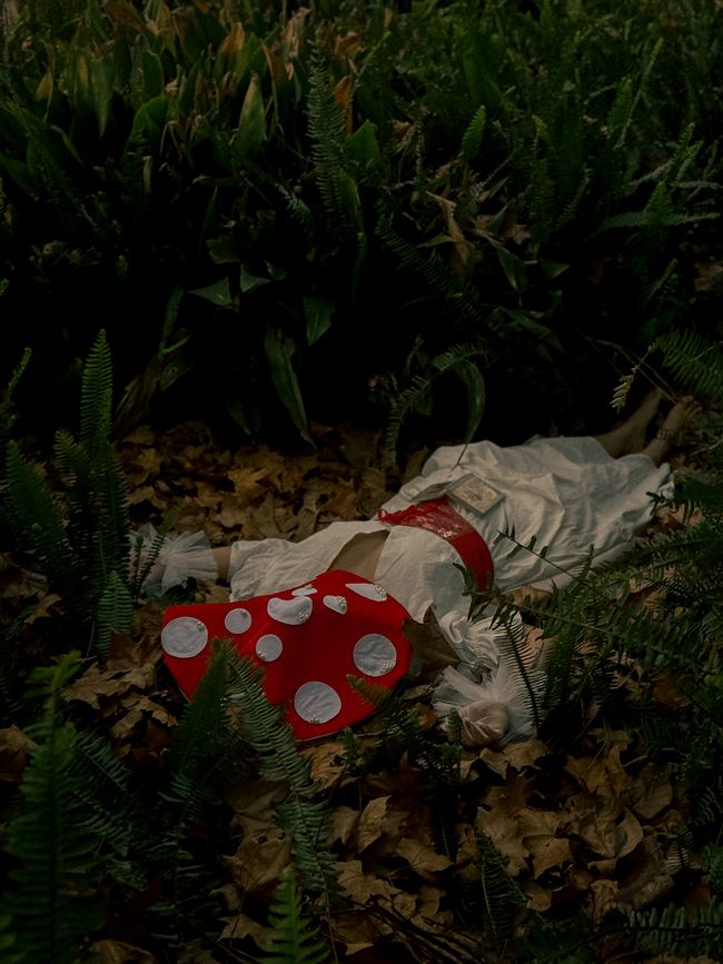 © Valentina Accardi - Image from the Symbiosis photography project