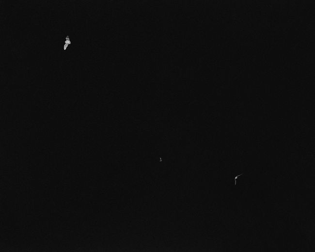 © Dylan and Paul Hausthor and Guilmoth - Image from the Sleep Creek photography project