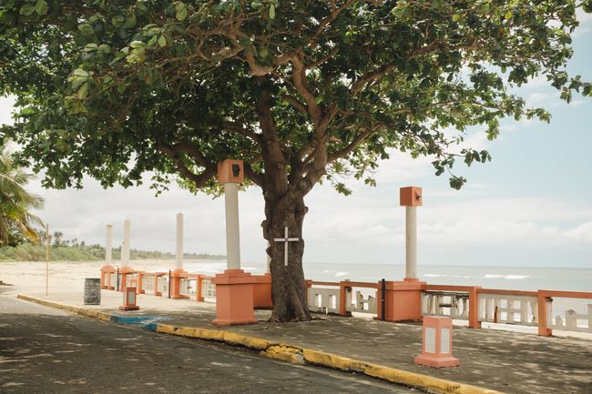 © Ariana Gomez - Image from the My Mother Speaks of Land as Memory photography project