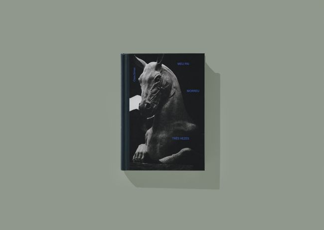 Image from a project on PhMuseum
