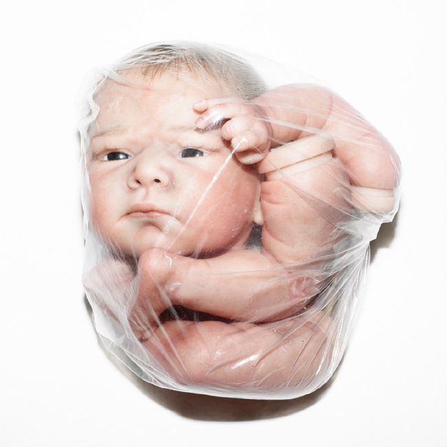 © Martina Cirese - Name: Barry;Date of Birth: 16.12.2016;Time of Birth: 16.59;Weight: 3524 g.;Height: 56 cm.; Eyes: Brown;Hair: Dark Brown