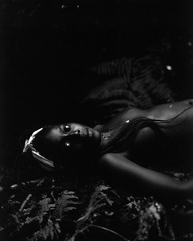 © Selina Mayer - Image from the The Forest photography project