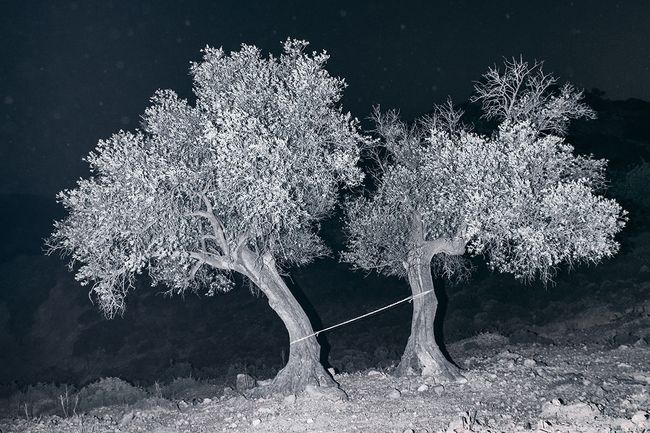 © Yorgos Yatromanolakis, from the series The Splitting of the Chrysalis & the Slow Unfolding of the Wings