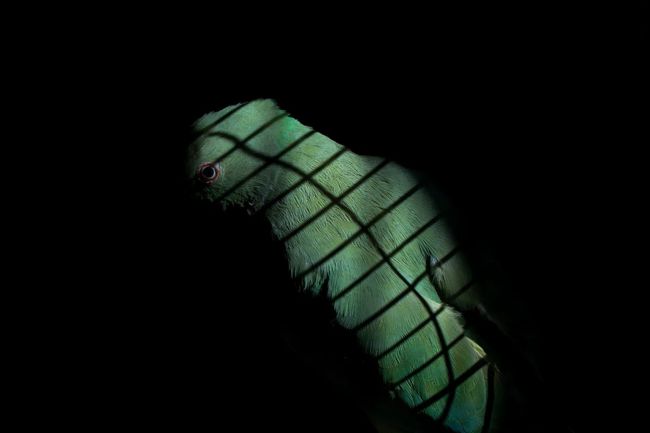 © Sumi Anjuman, from the series Somewhere Else Than Here