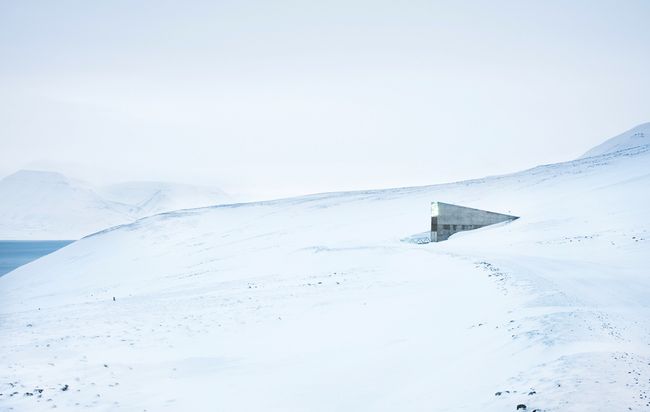 BuzzFeed News Climate Change Focus 