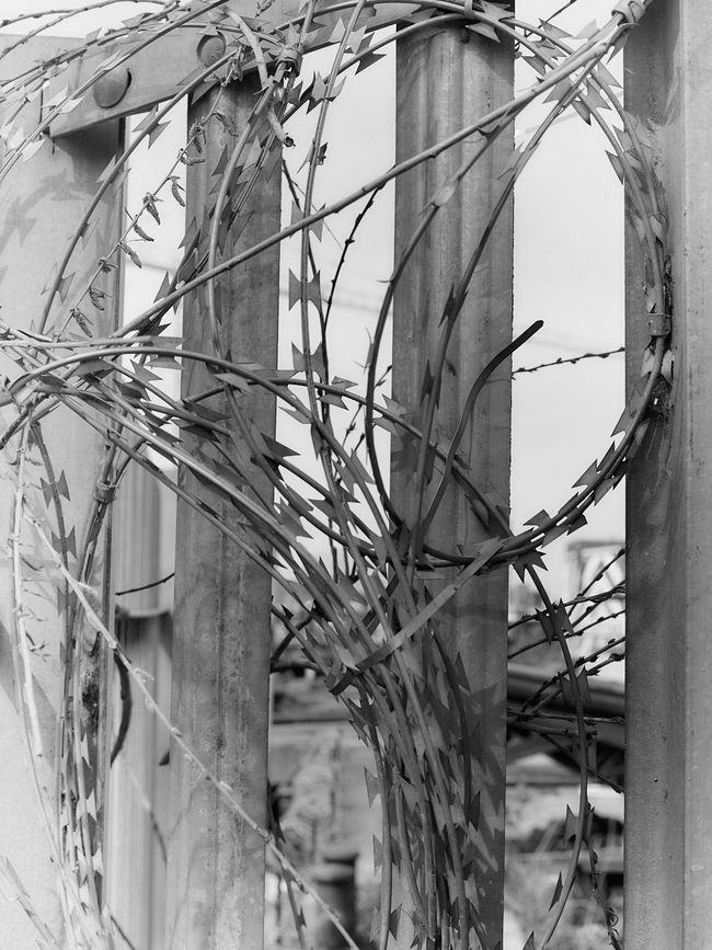 © Willie Franklin - Image from the Middle Distance photography project