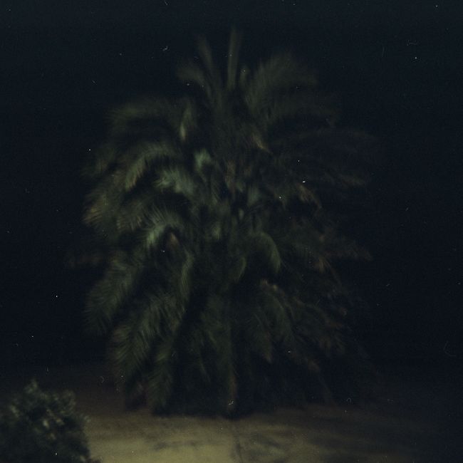 © Enrico Doria - holga 120