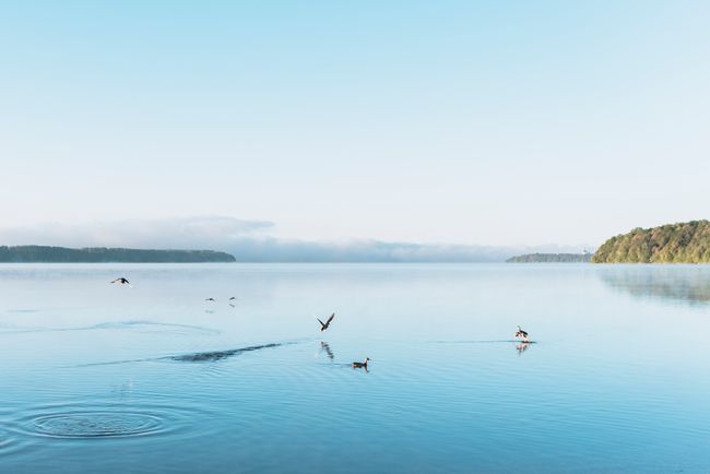 © Urtė Baltrušytė - Blue mists