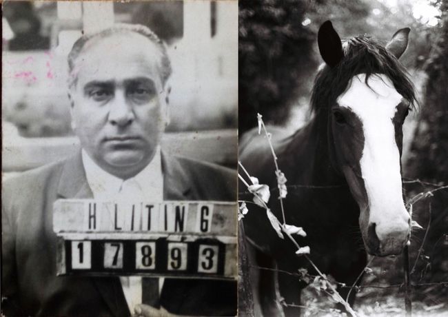 © Mayra Kamil Littin - Image from the Linaje Dorado photography project