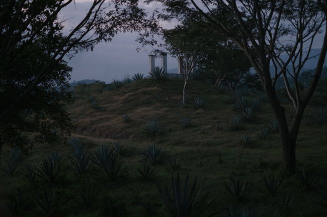 © Frédérique Gélinas - Image from the Under Mezcal Influence photography project