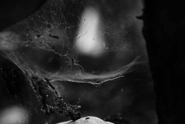 © Olivier Khouadiani - Image from the Golikro photography project