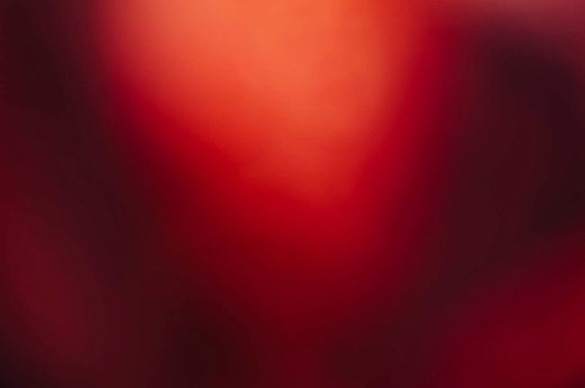 © Cecilia Sordi Campos - não-fecundação#1