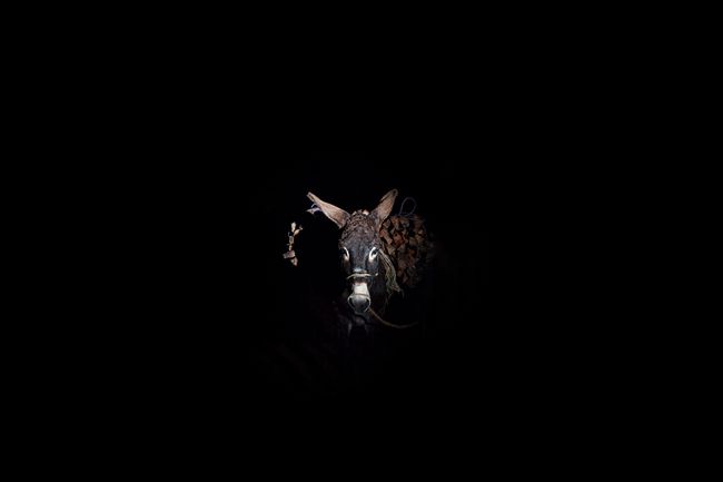 © Mara Sanchez Renero - Image from the iluikak photography project