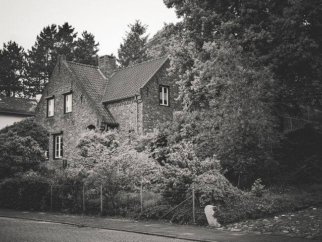 © Robin Butter - Image from the Dragonblood photography project