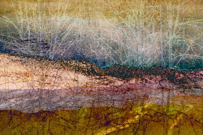 © Neil Berkowitz - "Ode to Public Lands #1" (2021) Multilayer photographic archival pigment print