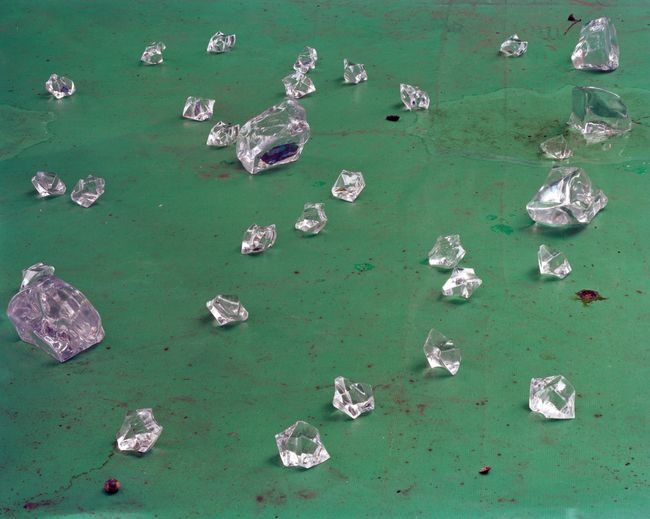 © Yan Shi - Image from the Plastic wings photography project