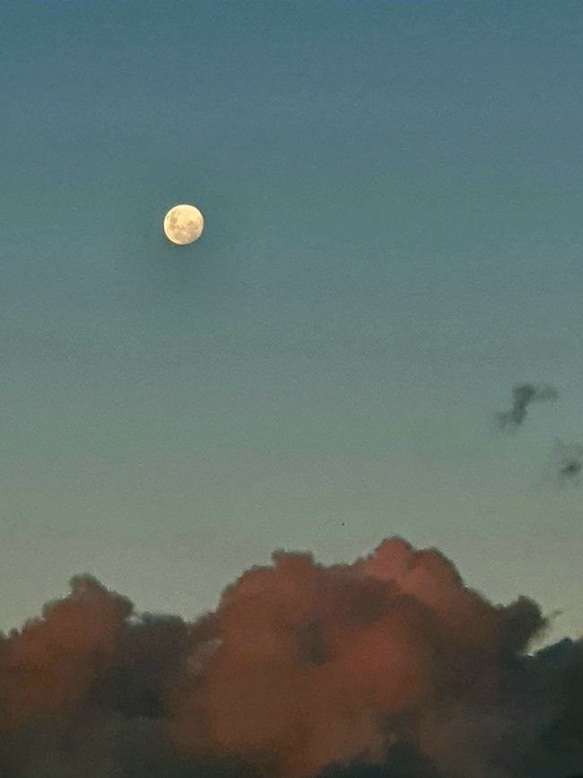 © Clare Jaque vasquez - Dusty pink clouds captured during the waxing gibbous pahse of the moon in far north Queelsand in Australia.