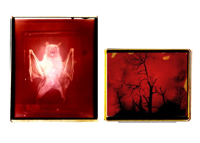 © Aletheia Casey - Image from the A Lost Place photography project