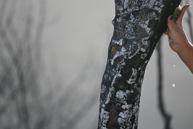 © Demetra Nicodemou - Image from the CARE FOR SELF 'φροντίδα' photography project