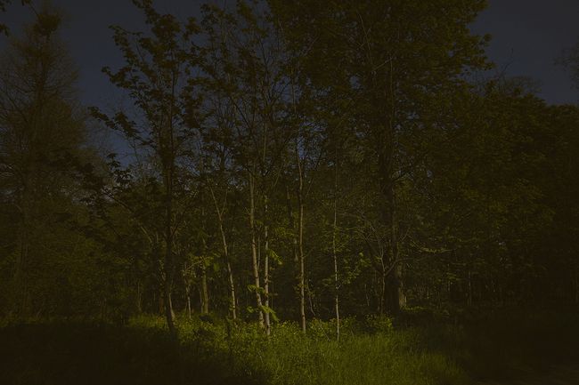 © sara barcaroli - Image from the Paradigm photography project