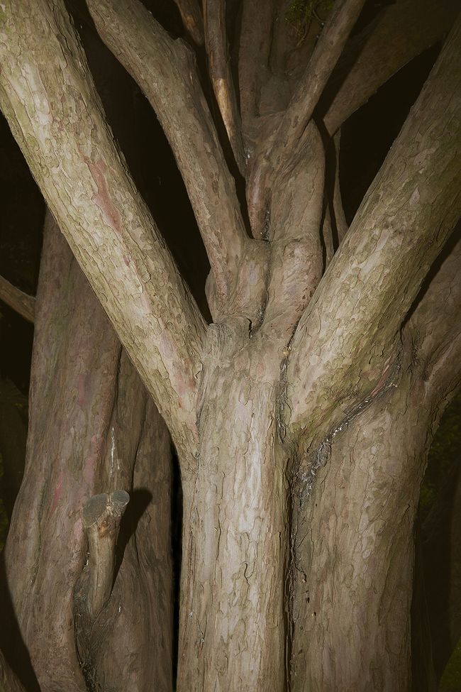 © sara barcaroli - Image from the Paradigm photography project