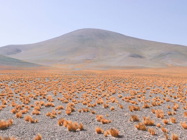 © Edition Patrick Frey - Image from the Human Territoriality by Roger Eberhard photography project