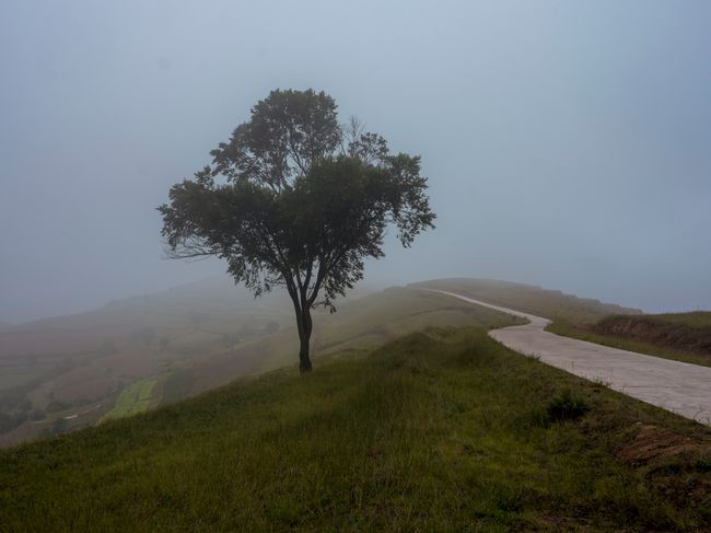 © Pan Wang - Image from the Return the land to nature photography project