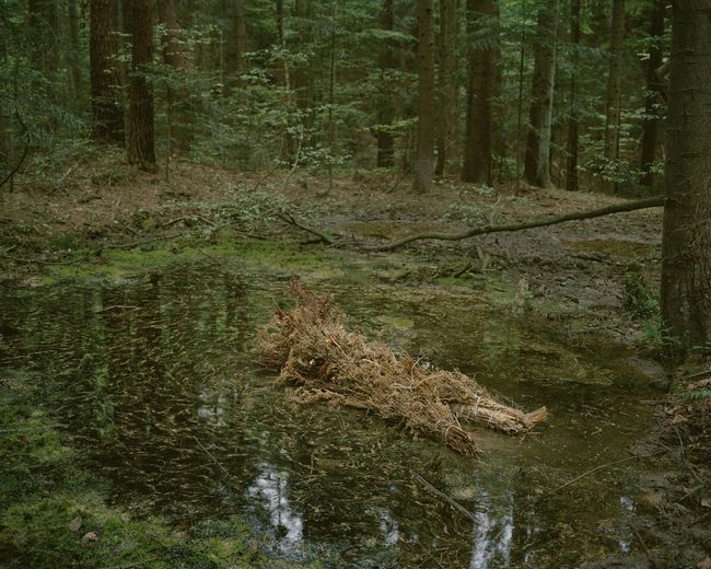 © Tomasz Kawecki - Image from the a Lair photography project