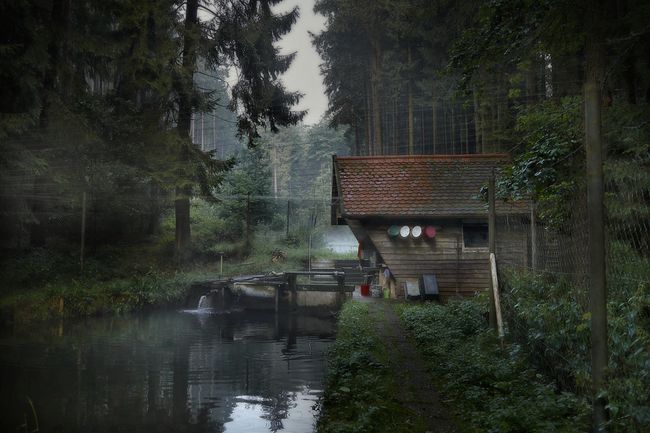 © Jörg Marx - In the dark places #02