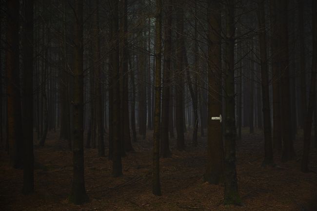 © Jörg Marx - In the dark places #03