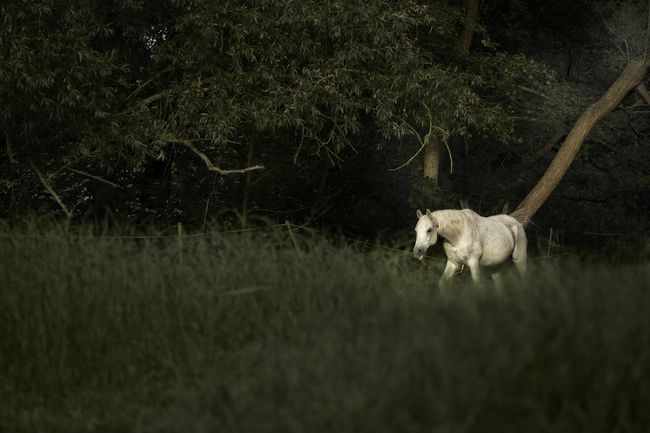 © Jörg Marx - In the dark places #01