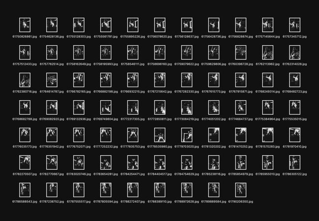 © Gene Chen - Sandwich Biscuit - FG