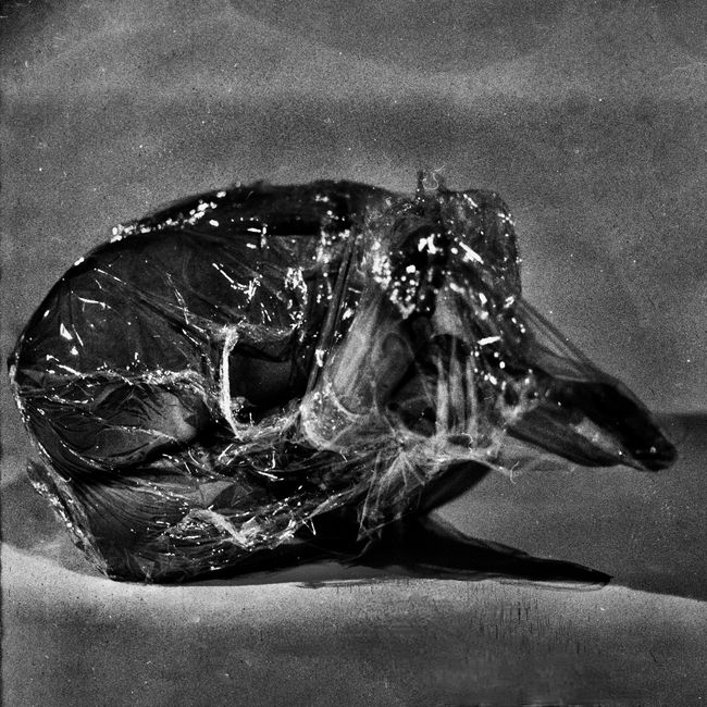 © Ema Širec - Image from the MEAT photography project